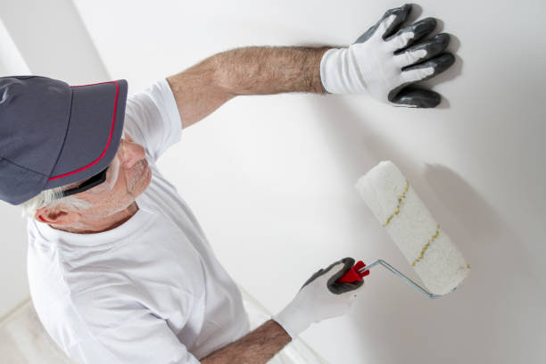 Best Industrial Mold Remediation  in Salamanca, NY