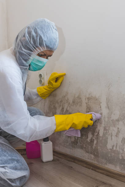 Best Indoor Air Quality Assessment  in Salamanca, NY