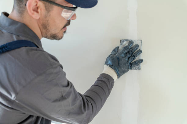 Best Crawl Space Mold Remediation  in Salamanca, NY