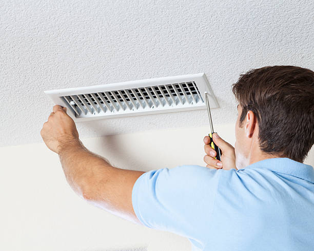 Best Emergency Mold Remediation  in Salamanca, NY