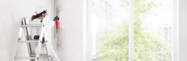 Best Forensic Mold Investigation  in Salamanca, NY